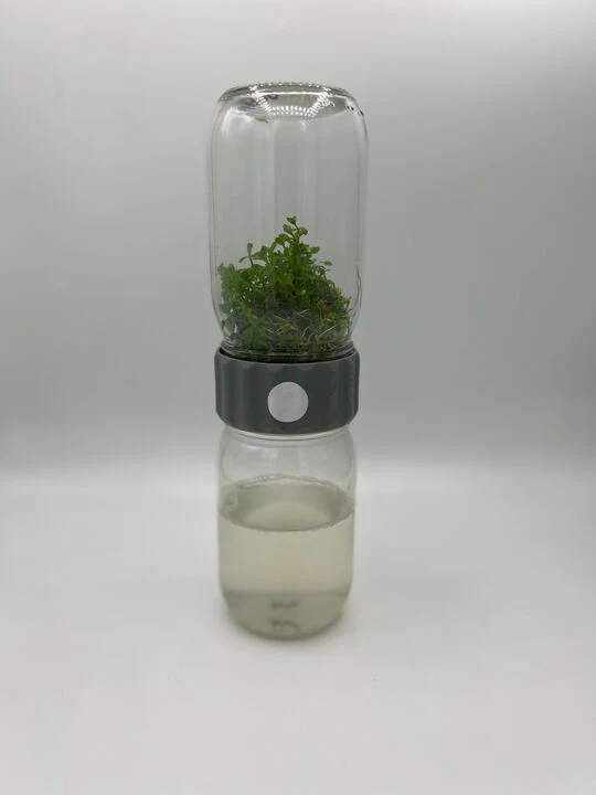 Biocoupler® Glass Set - Image 11