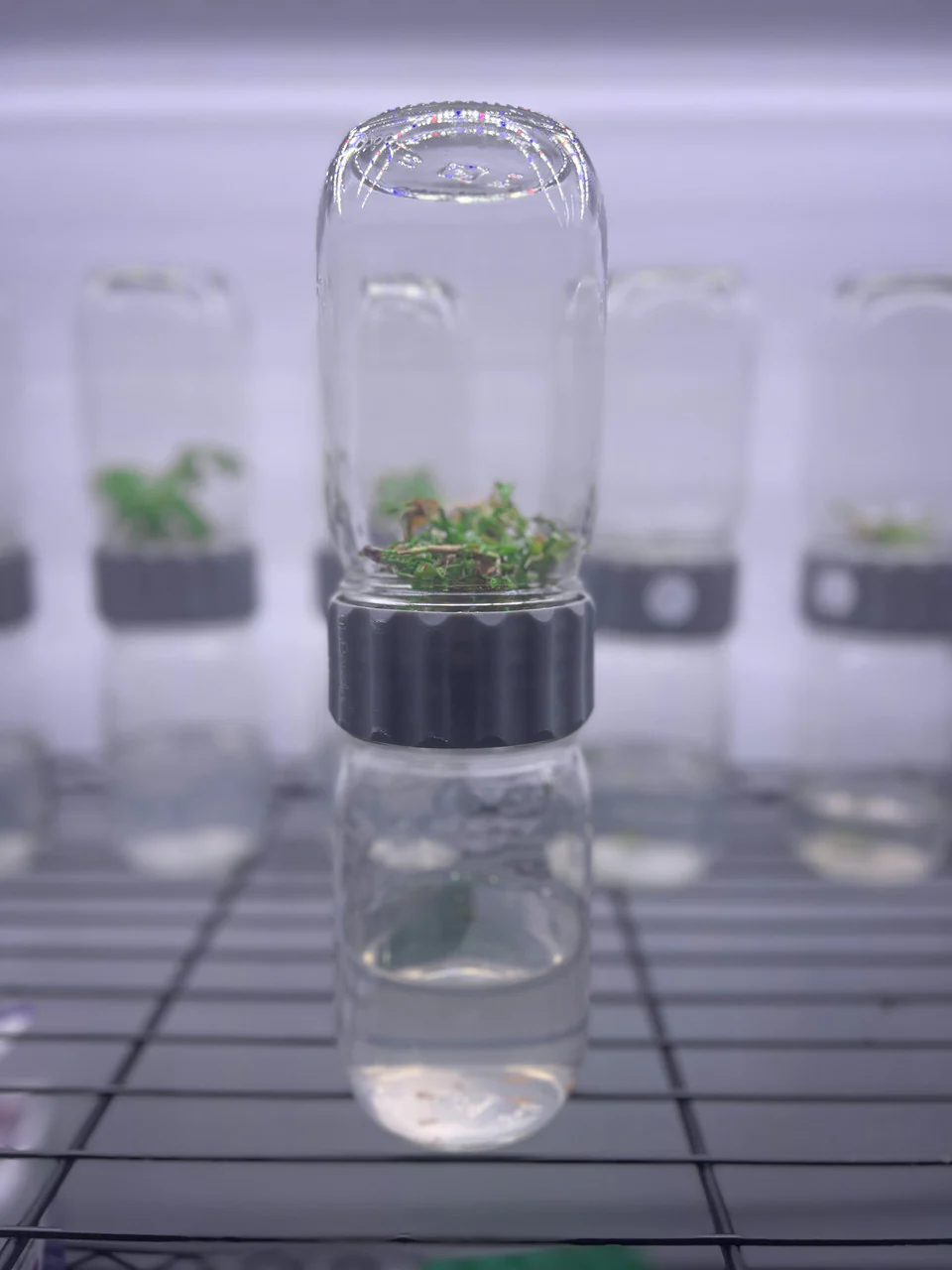 Biocoupler® Glass Set - Image 8