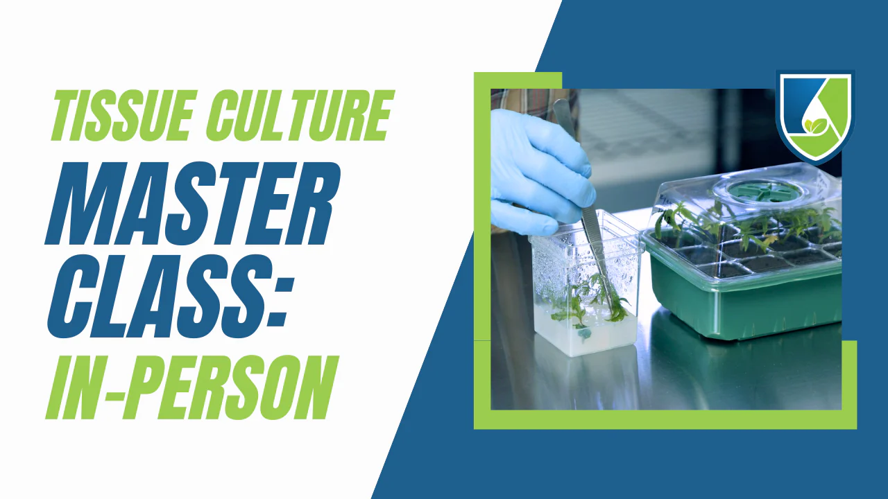 In-Person Tissue Culture Master Class - Image 3