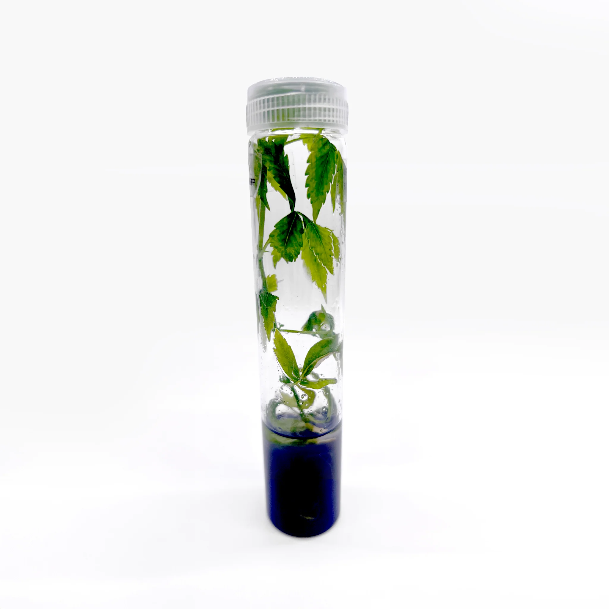 Vented Plant TC Test Tubes - Image 3